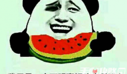 娱乐圈吃瓜的梗叫什么名字,揭秘明星幕后那些事儿